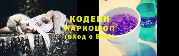гидра Бронницы