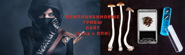 гидра Бронницы