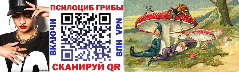 купить   Катав-Ивановск  Галлюциногенные грибы Cubensis 